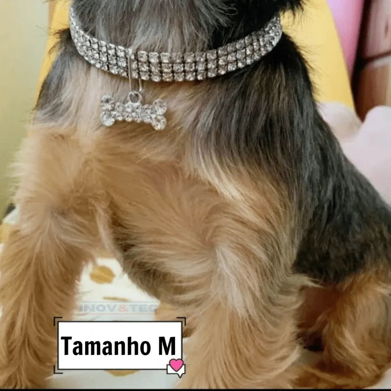 Colar Pet Chique - Coleira Cravejada De Cristais De Zircônia | Seu Pet Ainda Mais Estiloso!