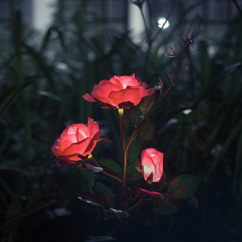Galho com 3 Rosas Iluminadas com LED Solar à Prova D'àgua