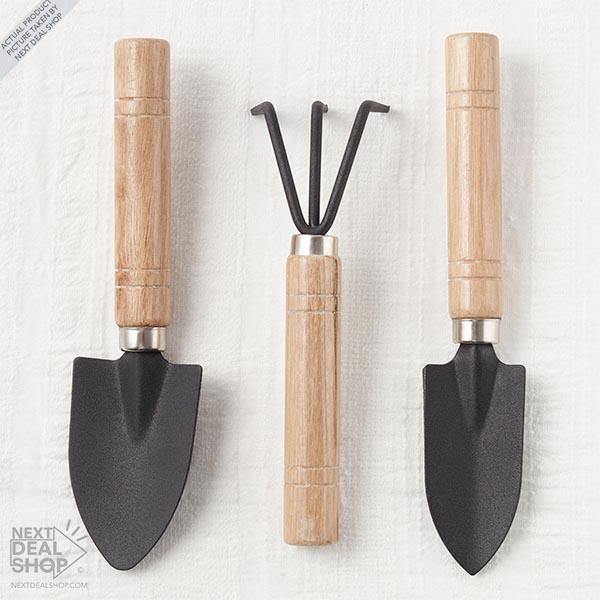 3 Peças de Mini Ferramentas de Jardinagem - Kit Garden