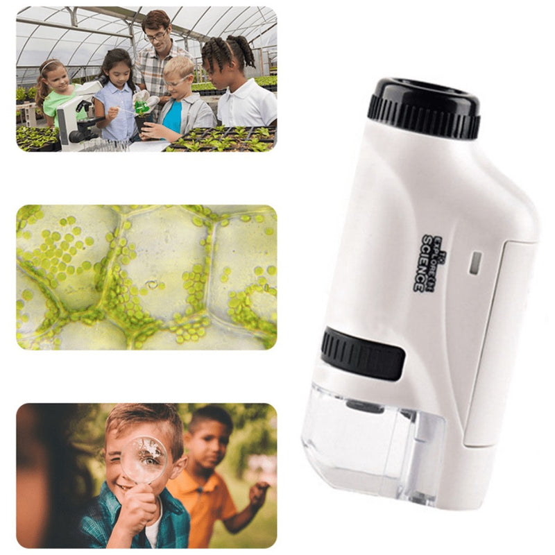Microscópio Portátil de Mão para Crianças Focus Brincadeira Educativa