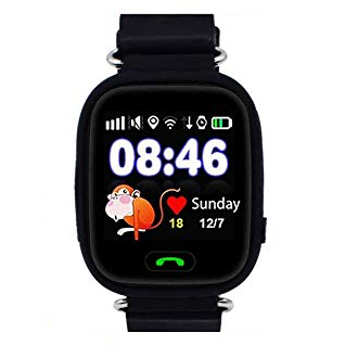 SmartWatch GPS Kids Safe Q90