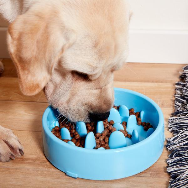 Tigela de Comida para Animais Antiengasgo