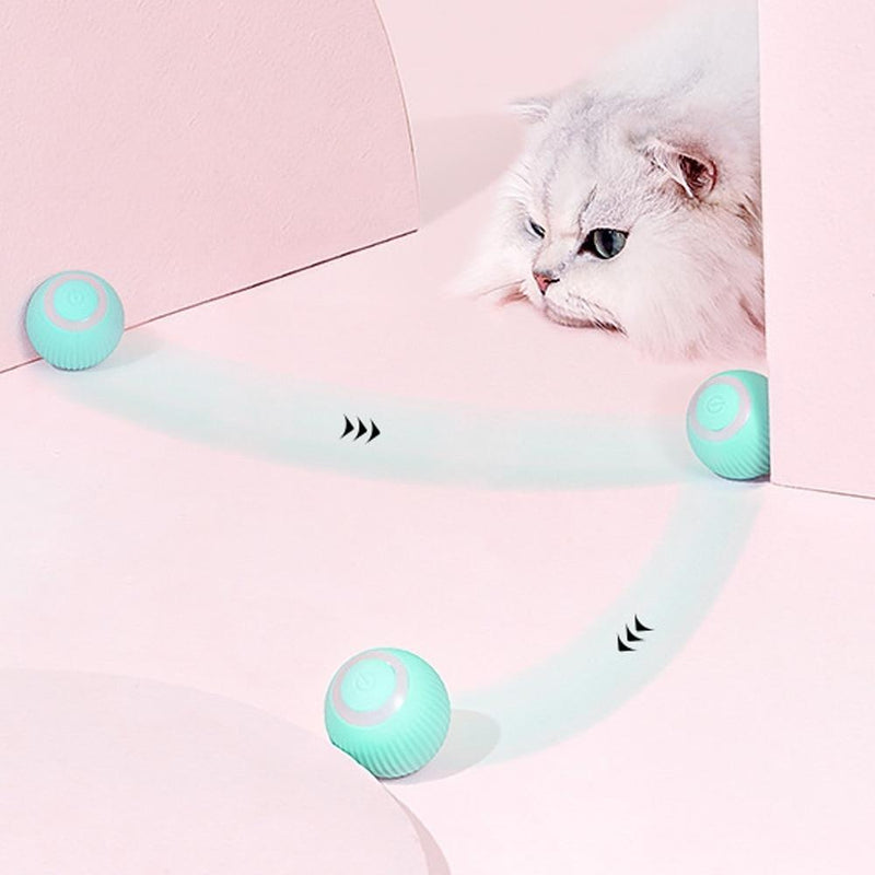 Pet ZOOM - Bolinha elétrica automática que se move sozinha, interativa, para Gatos e Cachorros Pequenos - Inov&tec