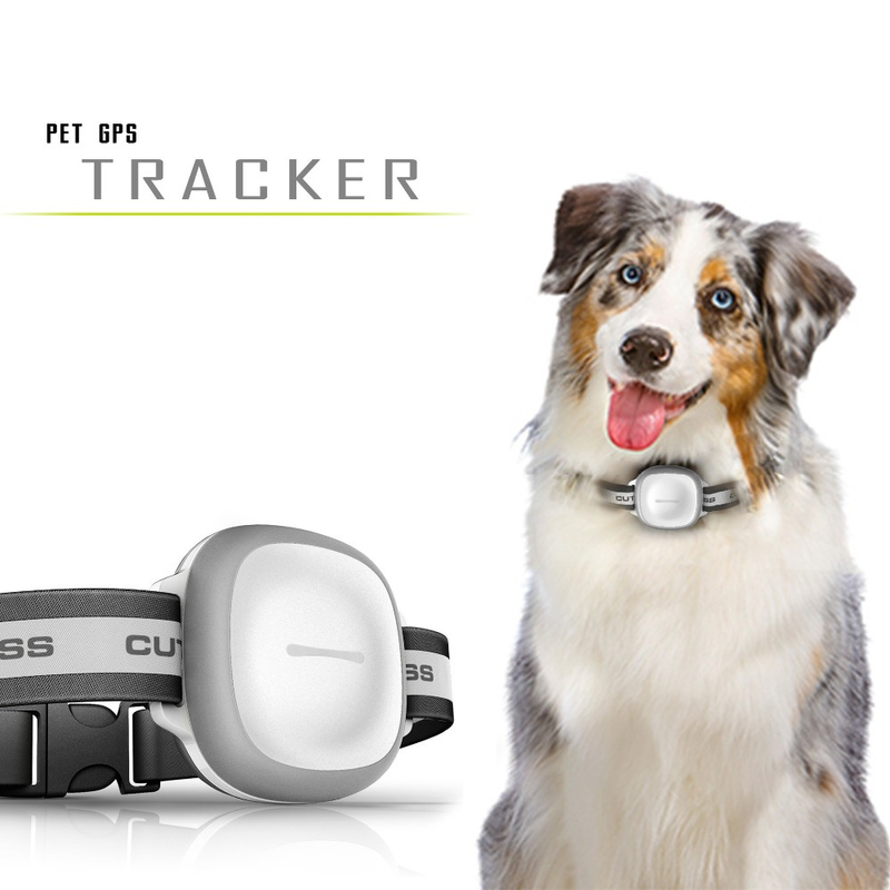 Smart Pet Coleira GPS MK2