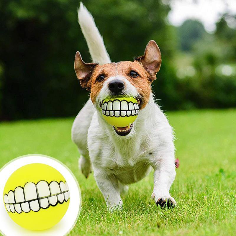 2 pcs Bola de Pet com Dentes Engraçados - DentaPlay