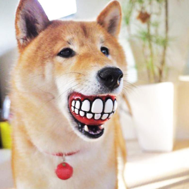 2 pcs Bola de Pet com Dentes Engraçados - DentaPlay
