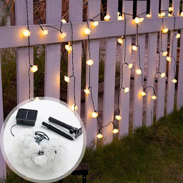 Luzes LED Solares de Rosas