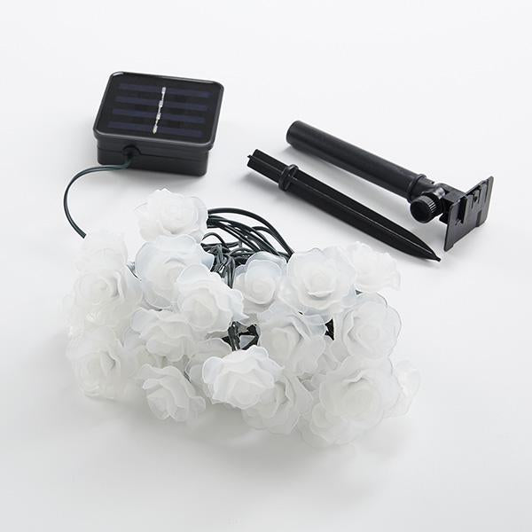 Luzes LED Solares de Rosas