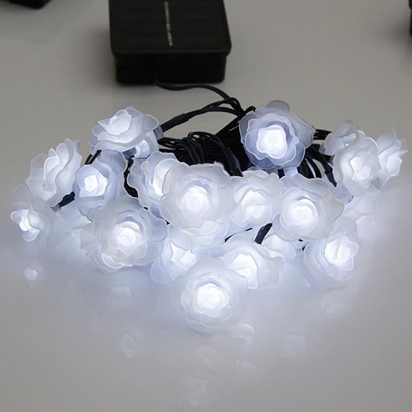 Luzes LED Solares de Rosas
