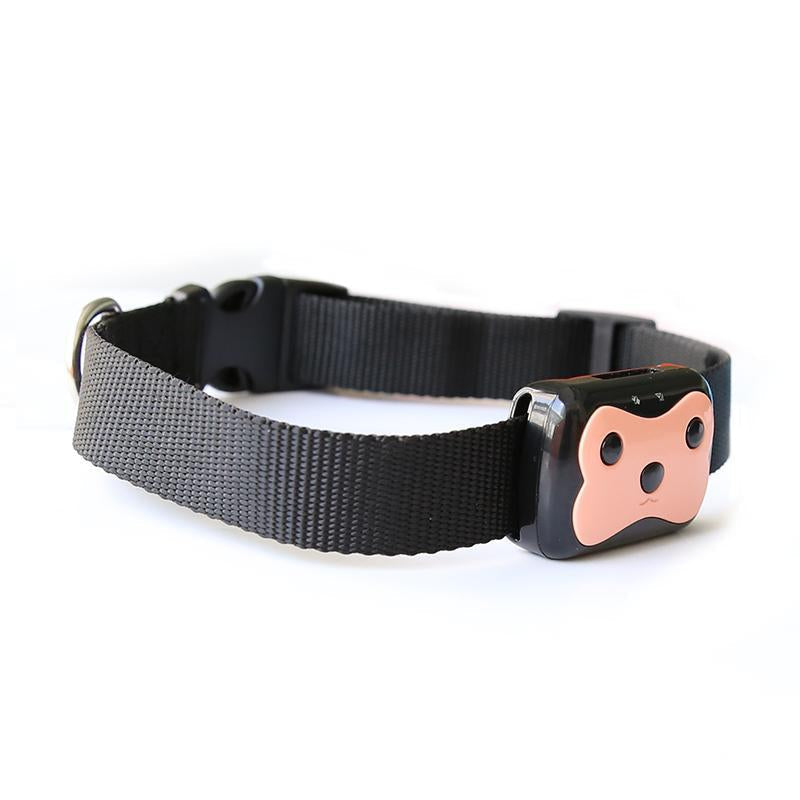 Smart Pet Coleira GPS D69