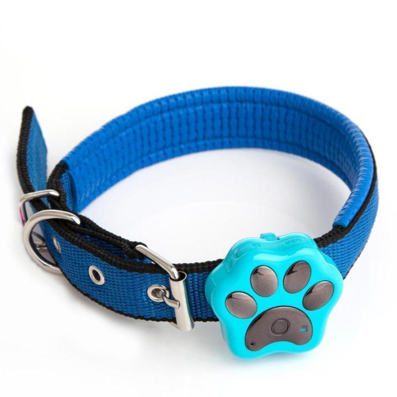 Smart Pet Coleira GPS iPet Guard Smart