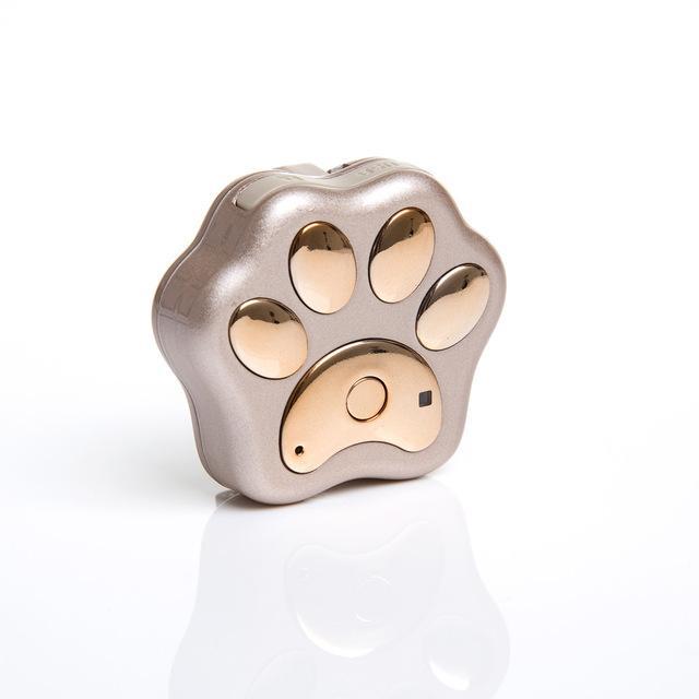 Smart Pet Coleira GPS iPet Guard Smart