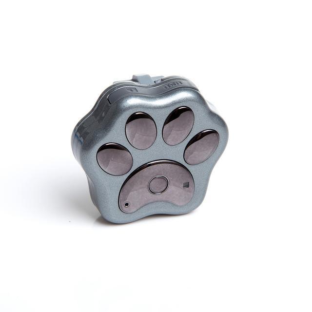 Smart Pet Coleira GPS iPet Guard Smart