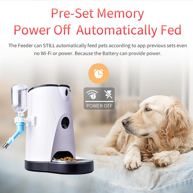 Smart Pet Comedouro Automatico Wifi Petacc