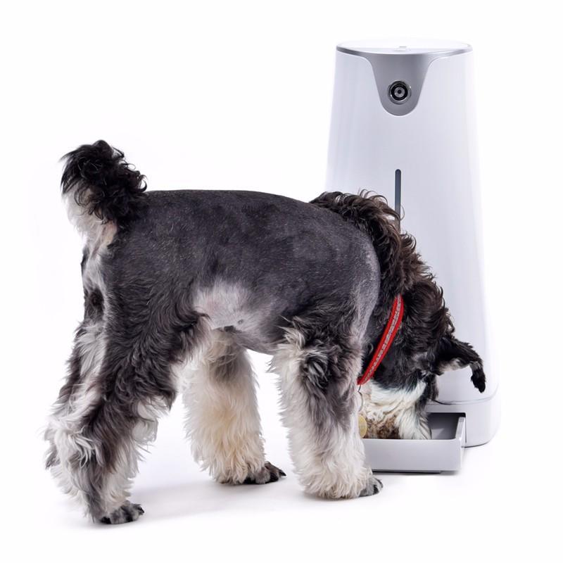 Smart Pet Comedouro Automatico Wifi Hoison